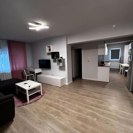 Hugo House Timisoaraアパートメント エクステリア 写真