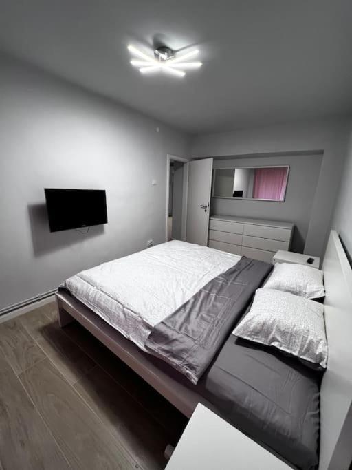 Hugo House Timisoaraアパートメント エクステリア 写真